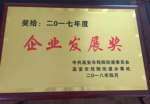 2017年度企業(yè)發(fā)展獎